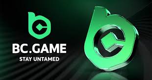 Unleashing Gaming Potential The BC.Game Mobile App Experience