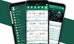 Explore the Exciting World of BetWinner Casino and Sportsbook